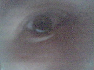 picture29.jpg